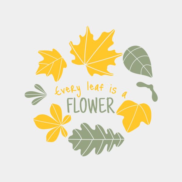 Fall Season 13 Thumbnail