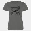Ladies Performance Tee Thumbnail